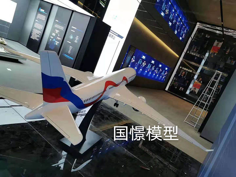 甘南县飞机模型